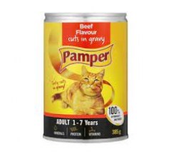 PAM9